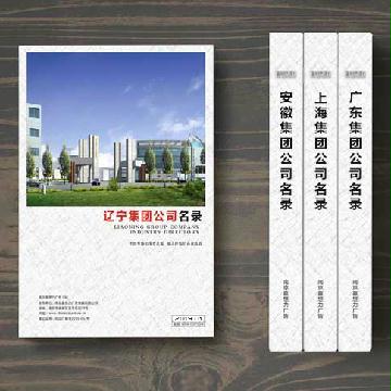 遼寧集團公司精準名錄